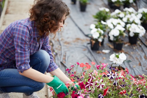 Gardeners Brockley modern slavery statement introduction image