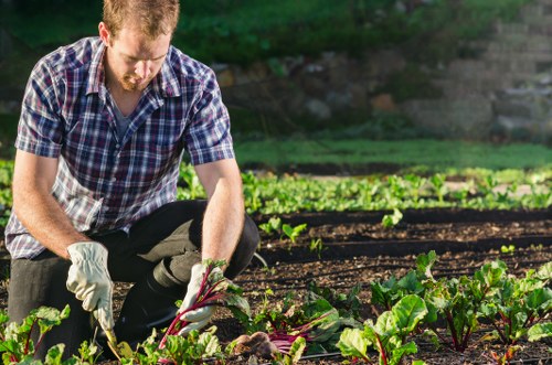 Gardeners Brockley annual review and accountability image