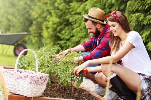 Healthy green lawn care in Brockley garden setting