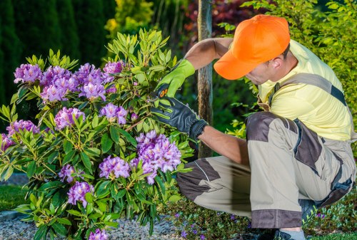 Garden maintenance terms and conditions introduction