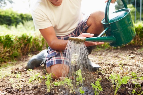 Professional garden clearance work in a Brockley garden