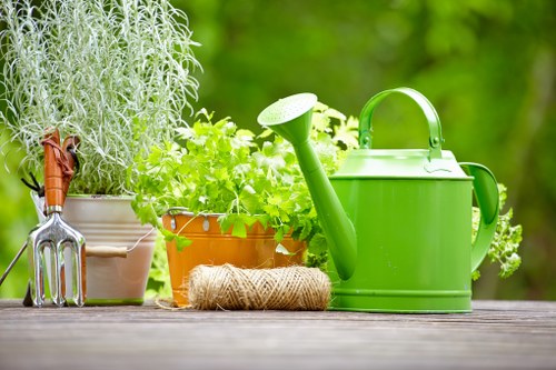 Local lawn mowing work in a Brockley residential garden