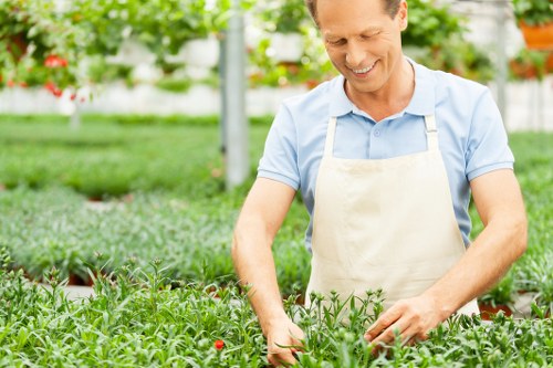 Ongoing accessibility improvement for Brockley gardening information