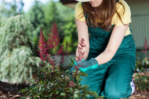 Professional patio cleaning in Brockley improving garden appearance