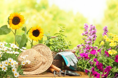 Garden maintenance in Brockley for tidy lawns and borders