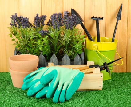 Local Brockley gardeners shaping plants and borders in a city garden