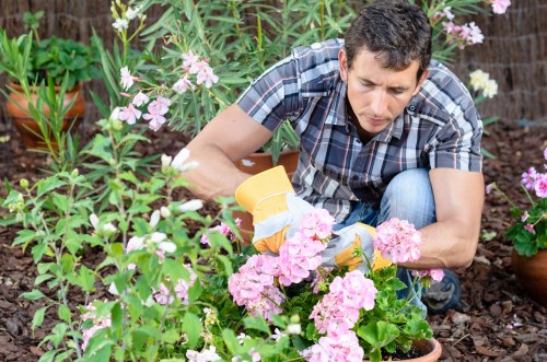 Safe Gardeners Brockley payment system with card and bank transfer options
