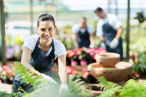 Brockley garden professionals planning plant and border care