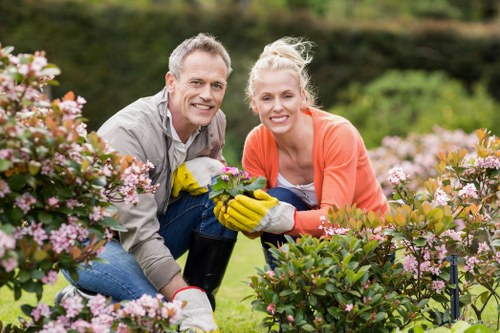 Seasonal lawn care in Brockley with fertilising and mowing