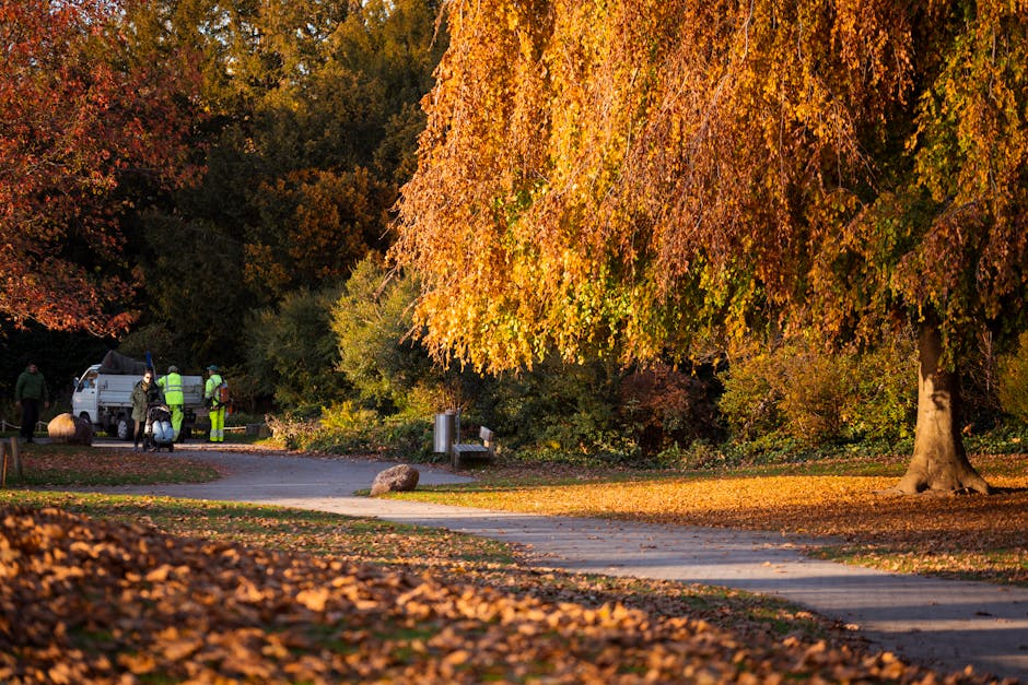 A scenic park scene during autumn featuring a wide paved pathway winding through the landscape, bordered by fallen leaves in shades of orange, yellow, and brown. On the right side, a large deciduous t