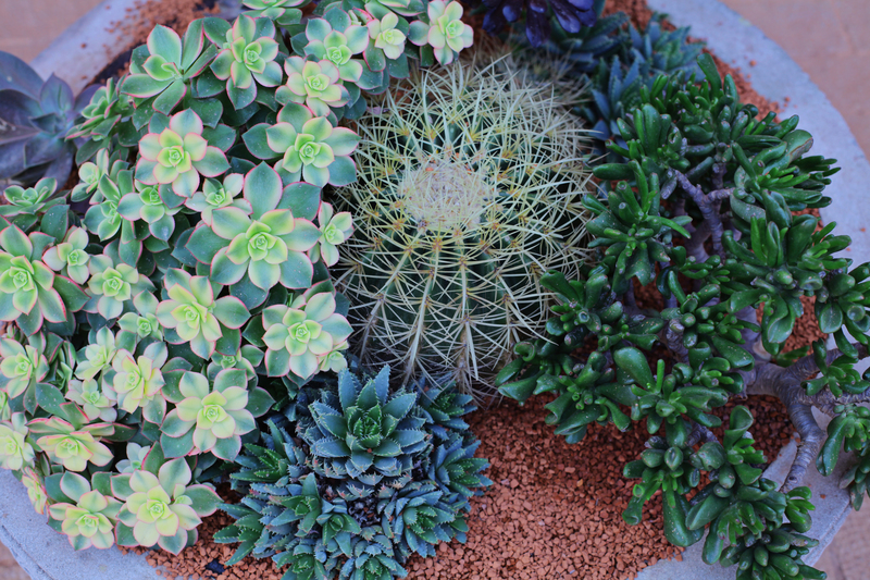 landscape design Garden